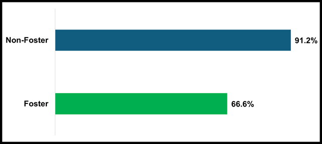 Bar chart of the school stability rate.