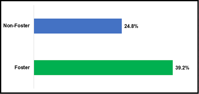 Bar chart of chronically absent students.