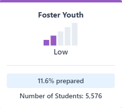 Image of the college/career state indicator status.