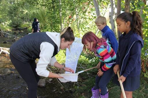 Students use nets to aid in exploring their environment and identifying creatures that live there.