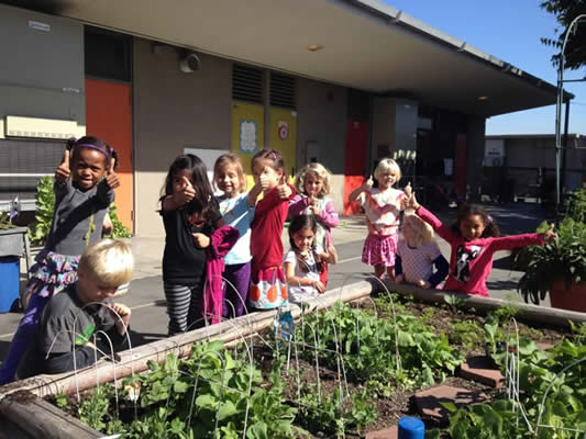 a group of students at a vegetable garden box.