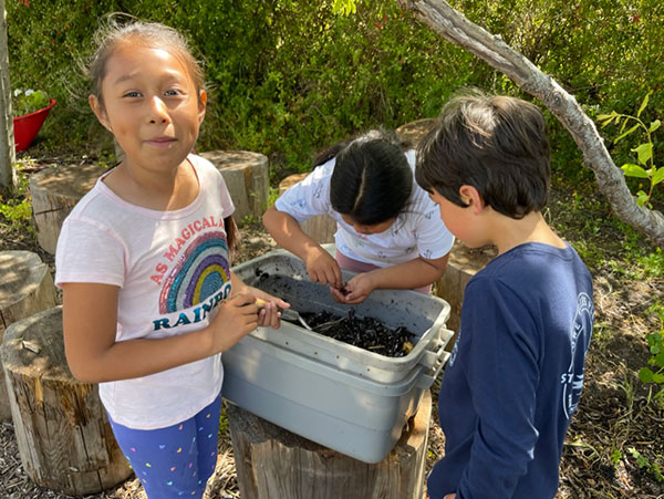 Three students examining fruits.