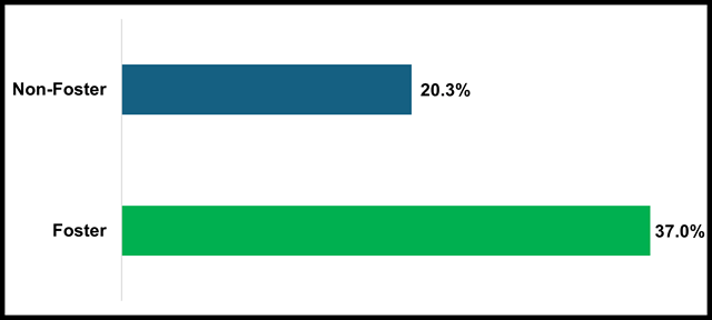 Bar Chart of Chronically Absent Students